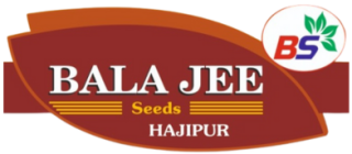 Balajee Seeds Hajipur | Leading Cauliflower Seeds Company in Hajipur