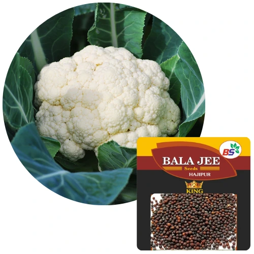 SM Seeds Cauliflower Pack